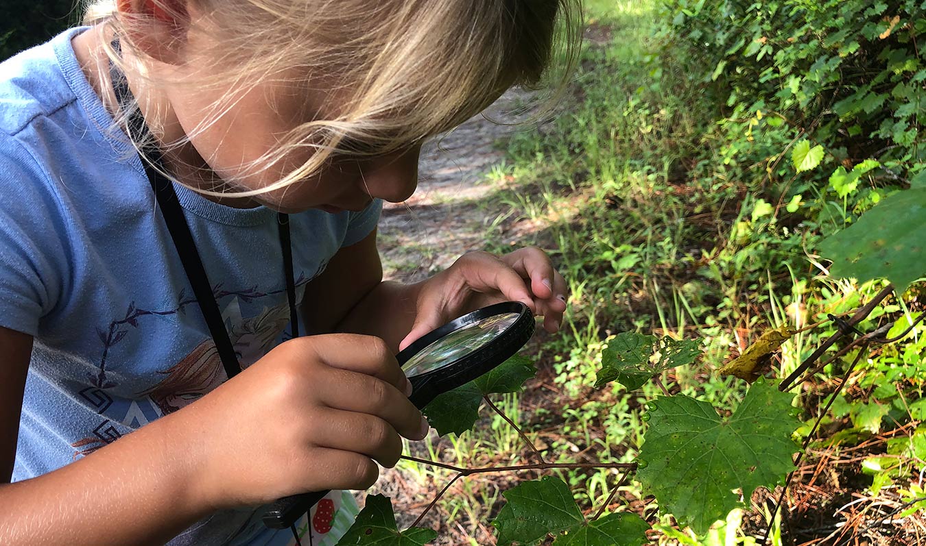 Observing Outside StreamLines: Understanding the importance of water – SJRWMD