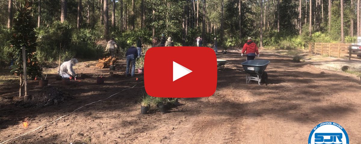 Video sill with play button