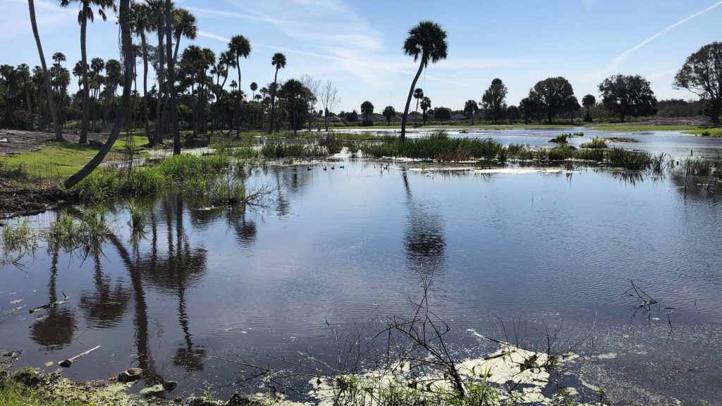 Restoration of a 35-acre site along a stretch of the Indian River Lagoon is nearing completion as the District continues to make strides in helping to improve water conditions in this Estuary of National Significance.
