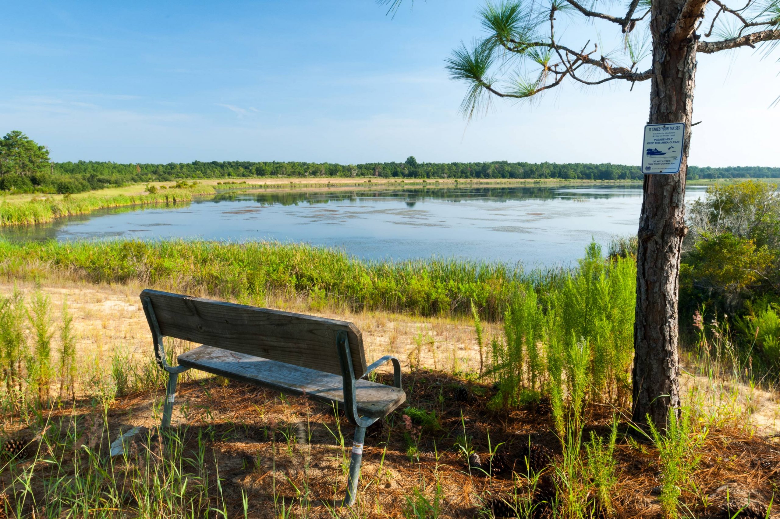 Wooden bench standing next to a lake