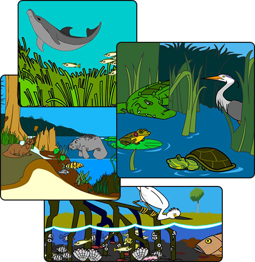 hatitats-intro Illustration of various aquatic habitats