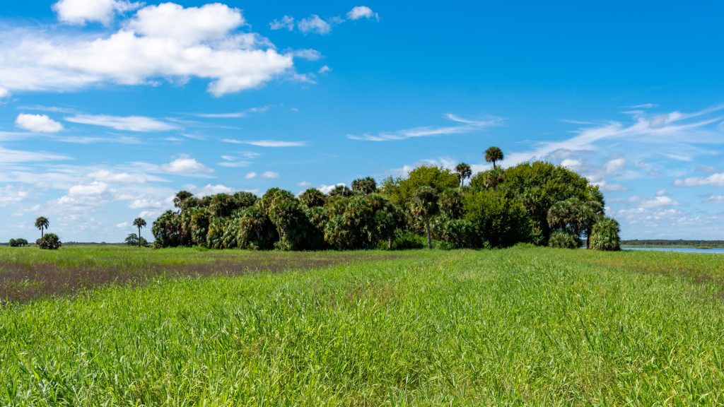 Moccasin Island in River Lakes Conservation Area in Brevard County