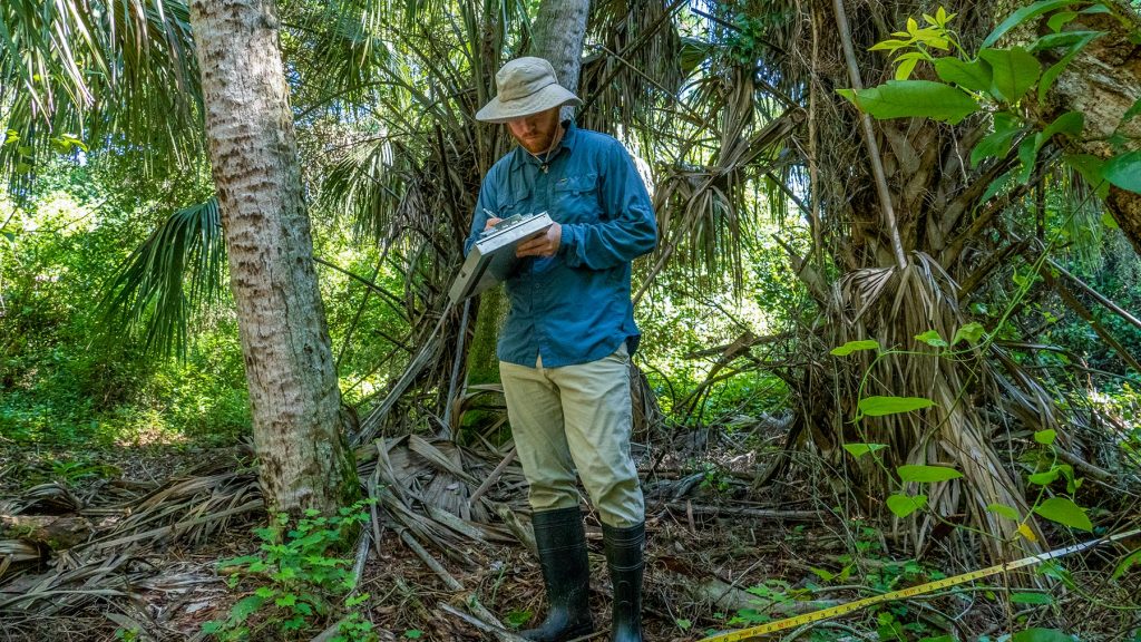 Nathaniel Mouzon standing in a forest