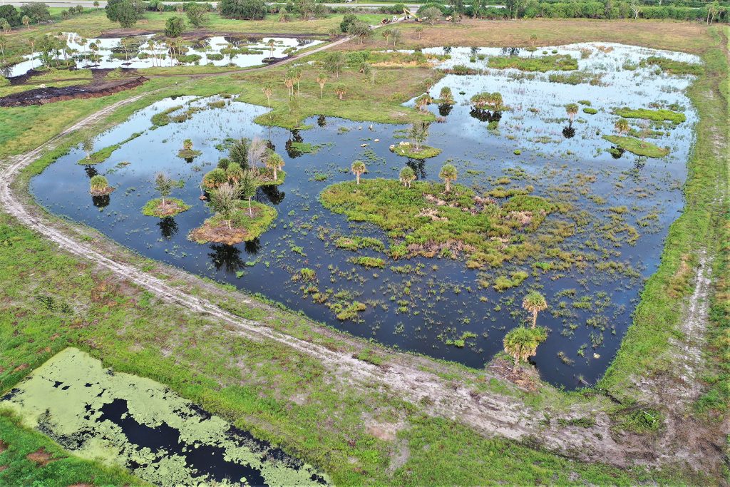 Aerial view of the Coastal Oaks wetland