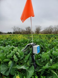 soil moisture sensor with a red flag attached to it