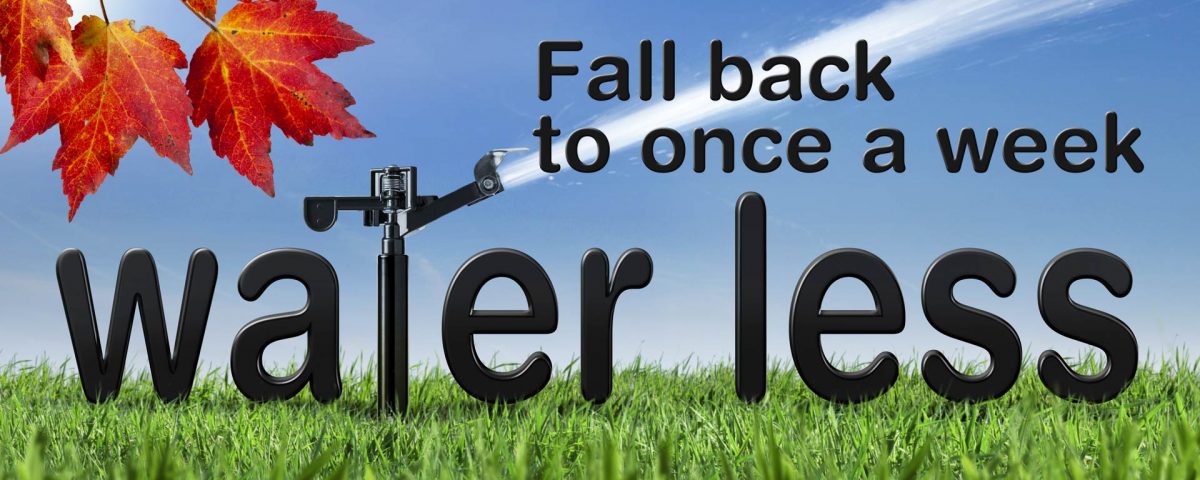 District's Fall Back campaign
