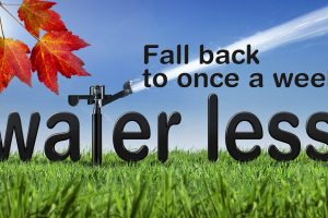 District's Fall Back campaign