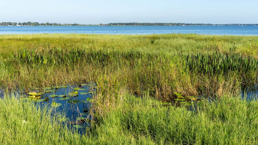 View of Lake Minneola from the shore