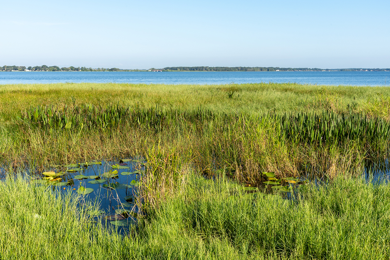 View of Lake Minneola from the shore