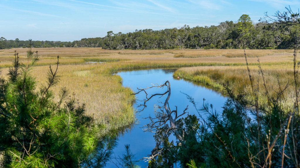 A view of Moss Creek from a high view point
