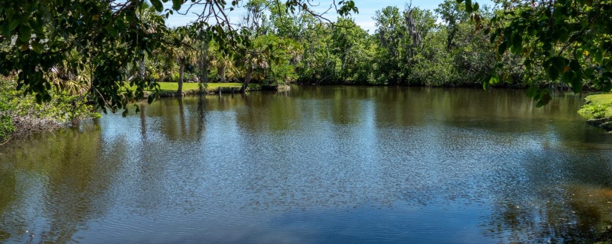 Calm waters at Crane Creek