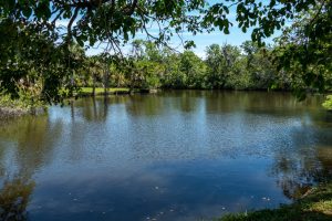 Calm waters at Crane Creek