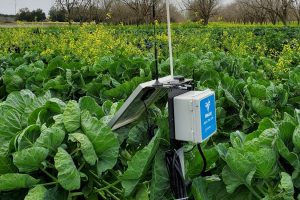 soil moisture sensor in a farm