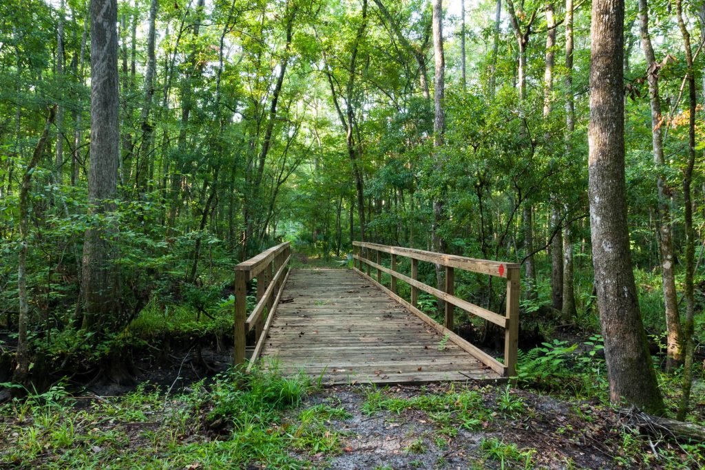 Julington-Durbin Preserve bridge