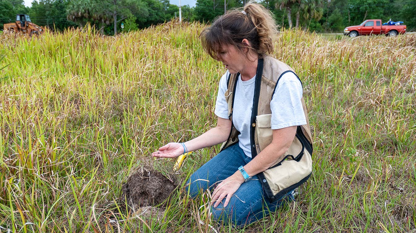 District staff member inspects a soil sample