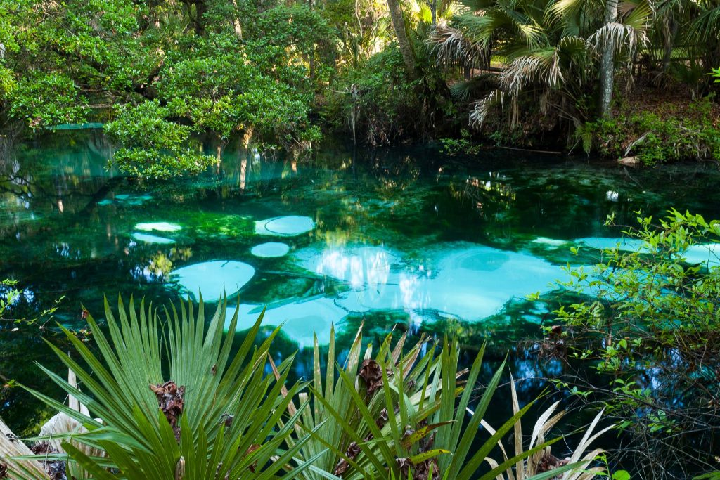 Bright blue water in a spring