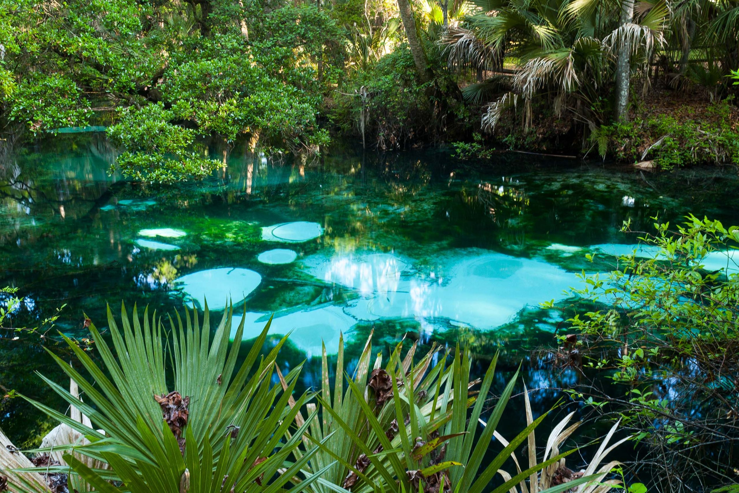 Bright blue water in a spring