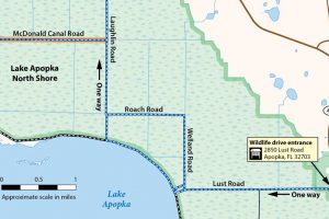 A map of A small section of the Lake Apopka Wildlife Drive