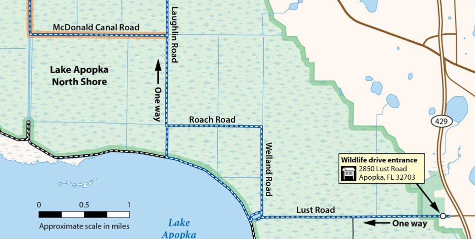 A map of A small section of the Lake Apopka Wildlife Drive