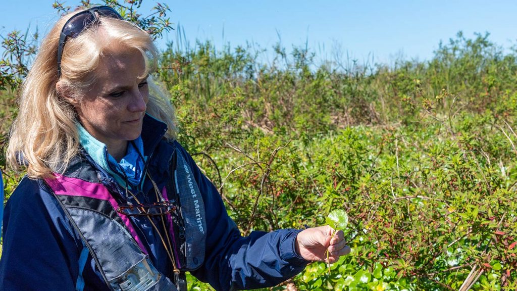 As part of the District’s core missions, our work includes protecting, restoring and preserving natural systems, and supporting wetlands’ natural hydrologic and ecologic functions.