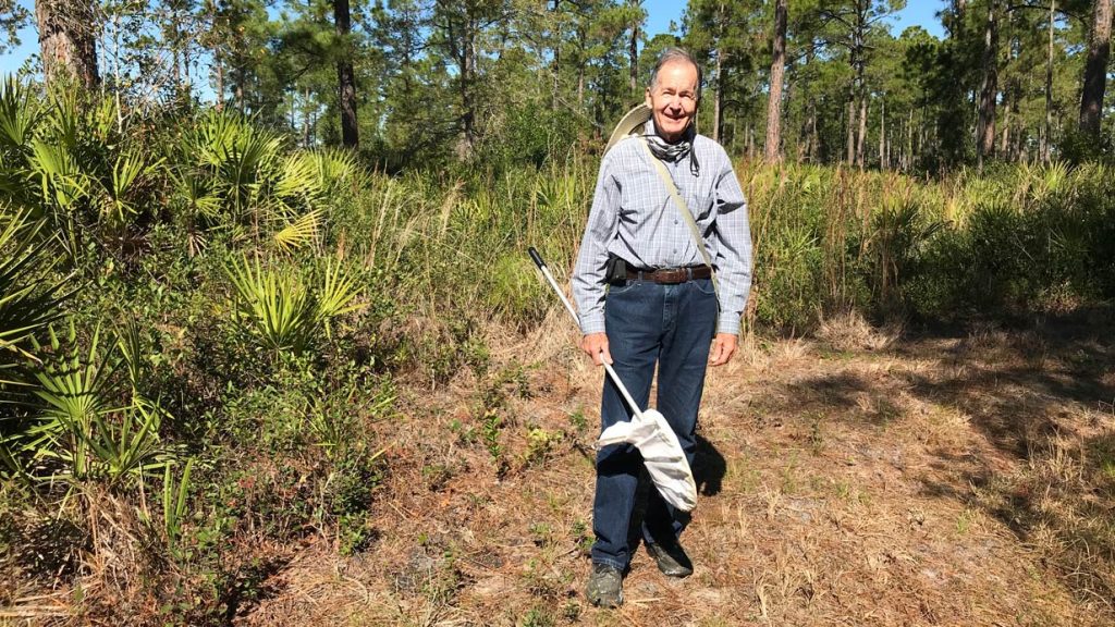 Steve Dennis standing in the middle forest clearing