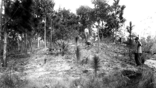 Florida is often pigeonholed as a place lacking deep-rooted history, a sun-blanched tapestry of tract homes built for frost-bitten northerners, a fantasy land which built its reputation on roadside amusements and theme parks.