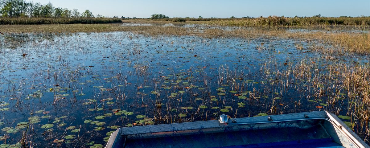 Airboat on a marsh