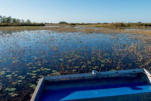 Airboat on a marsh