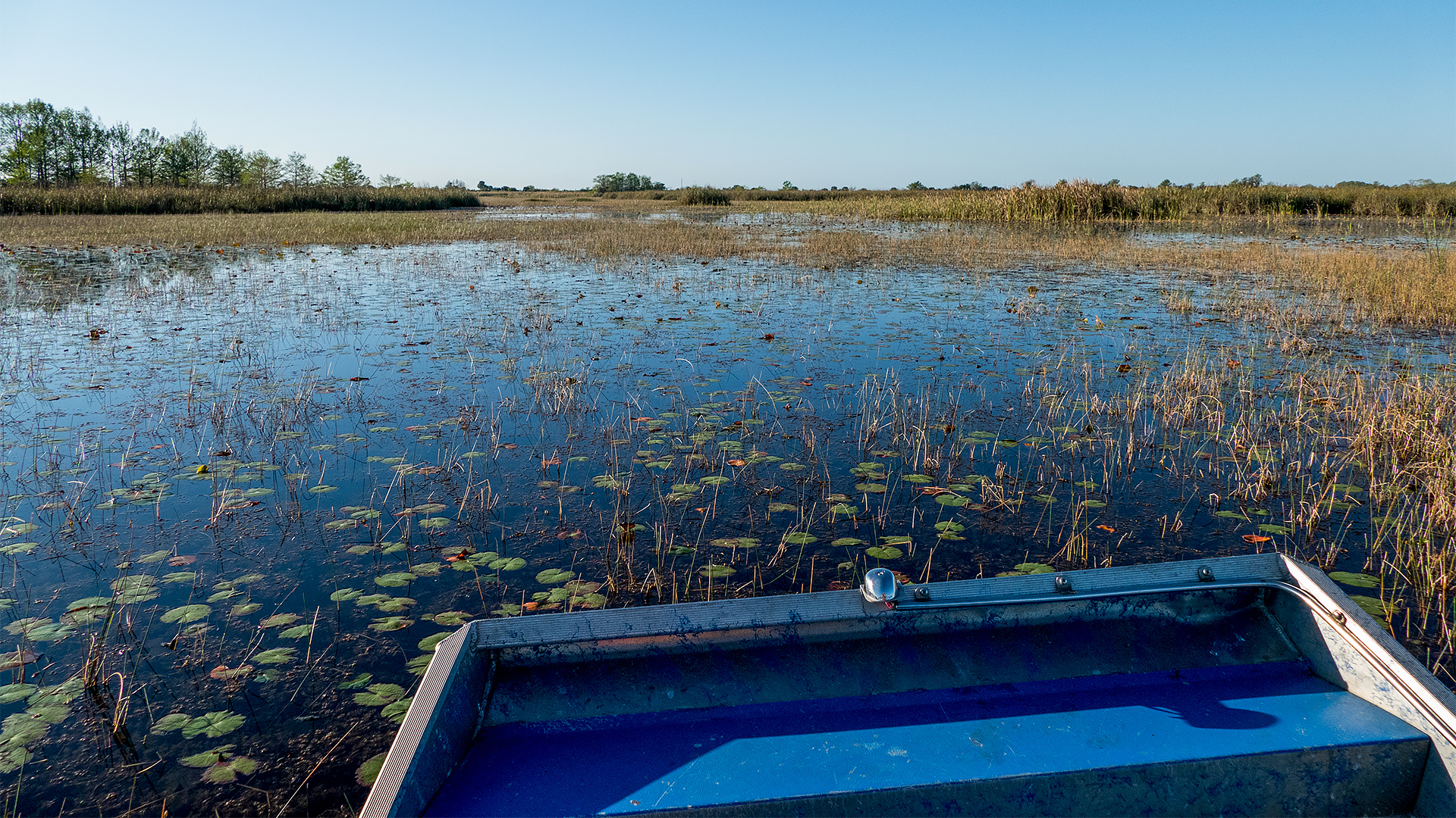 Airboat on a marsh