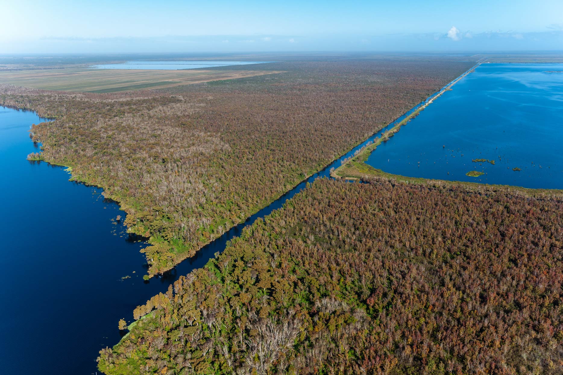 Aerial view of the Blue Cypress stick marsh