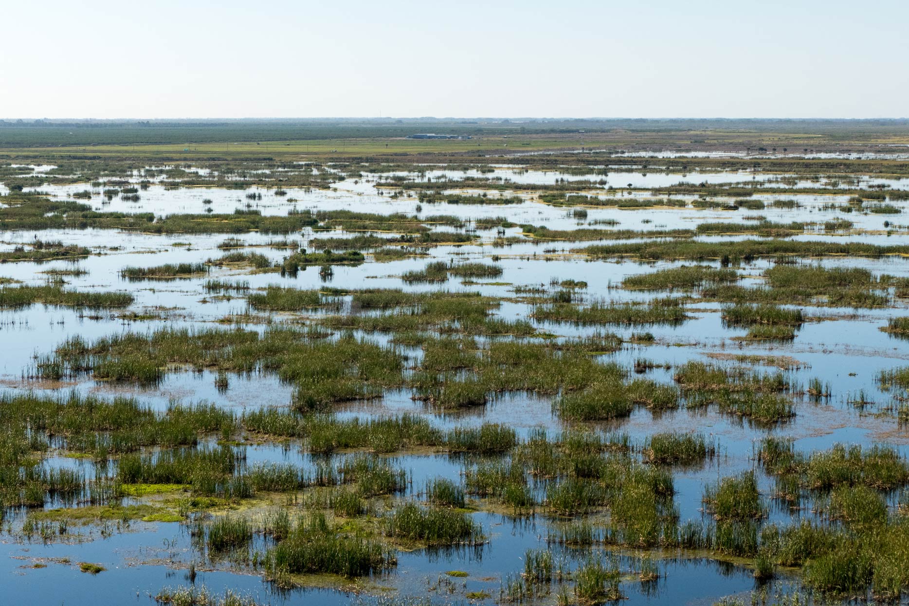 Aerial view of the Fellsmere Water Management Area grasses