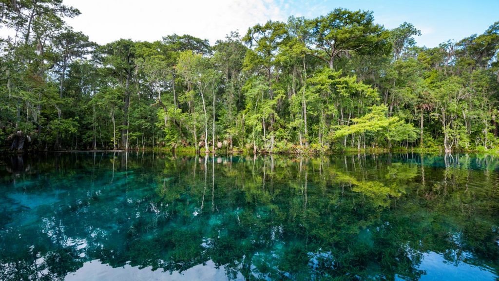Silver Springs in Marion County