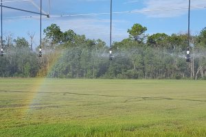 A small rainbow on a farm field