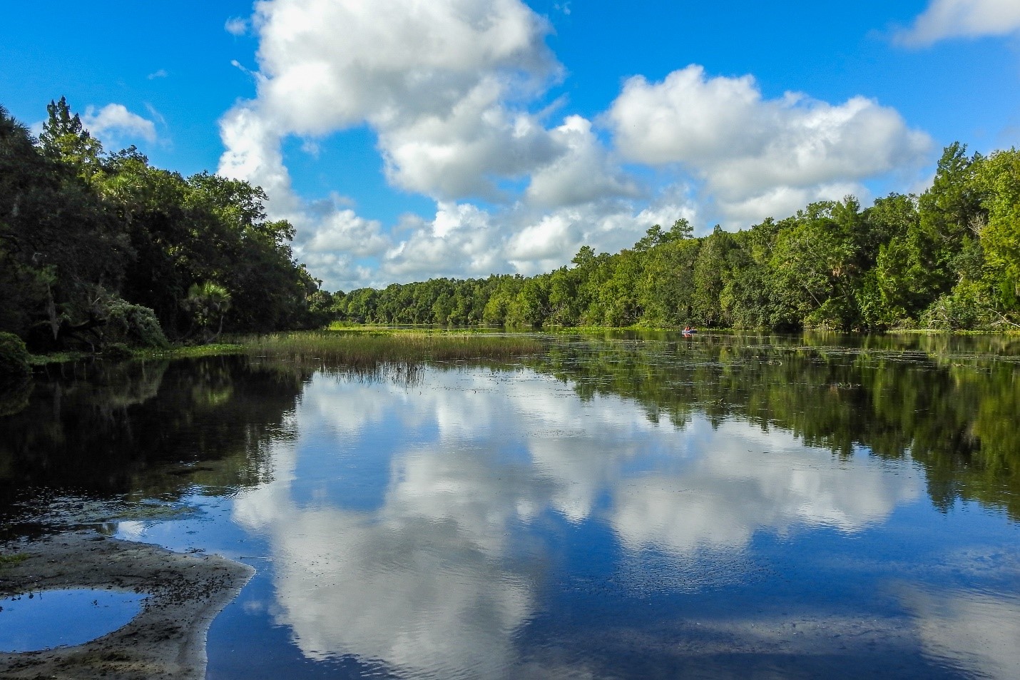 Alexander Springs spring run in Lake County