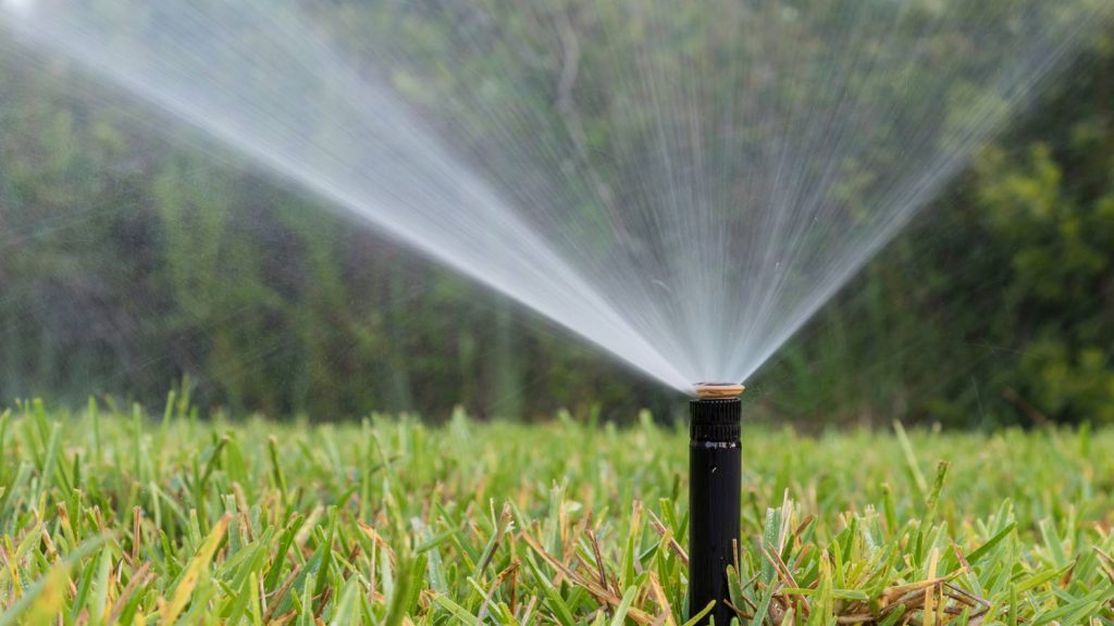 Lawn sprinkler spraying water