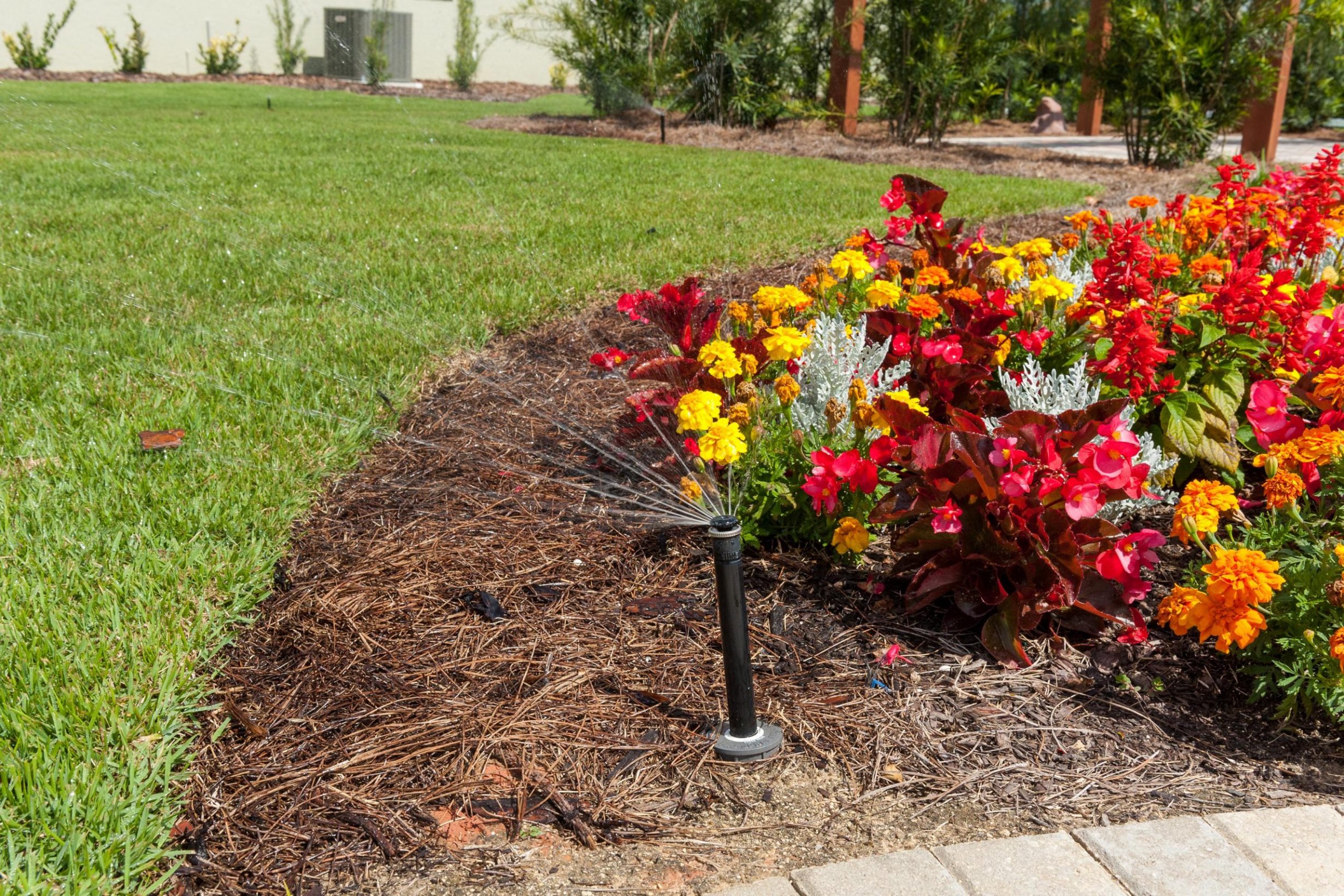 A sprinkler spraying a landscaped yard