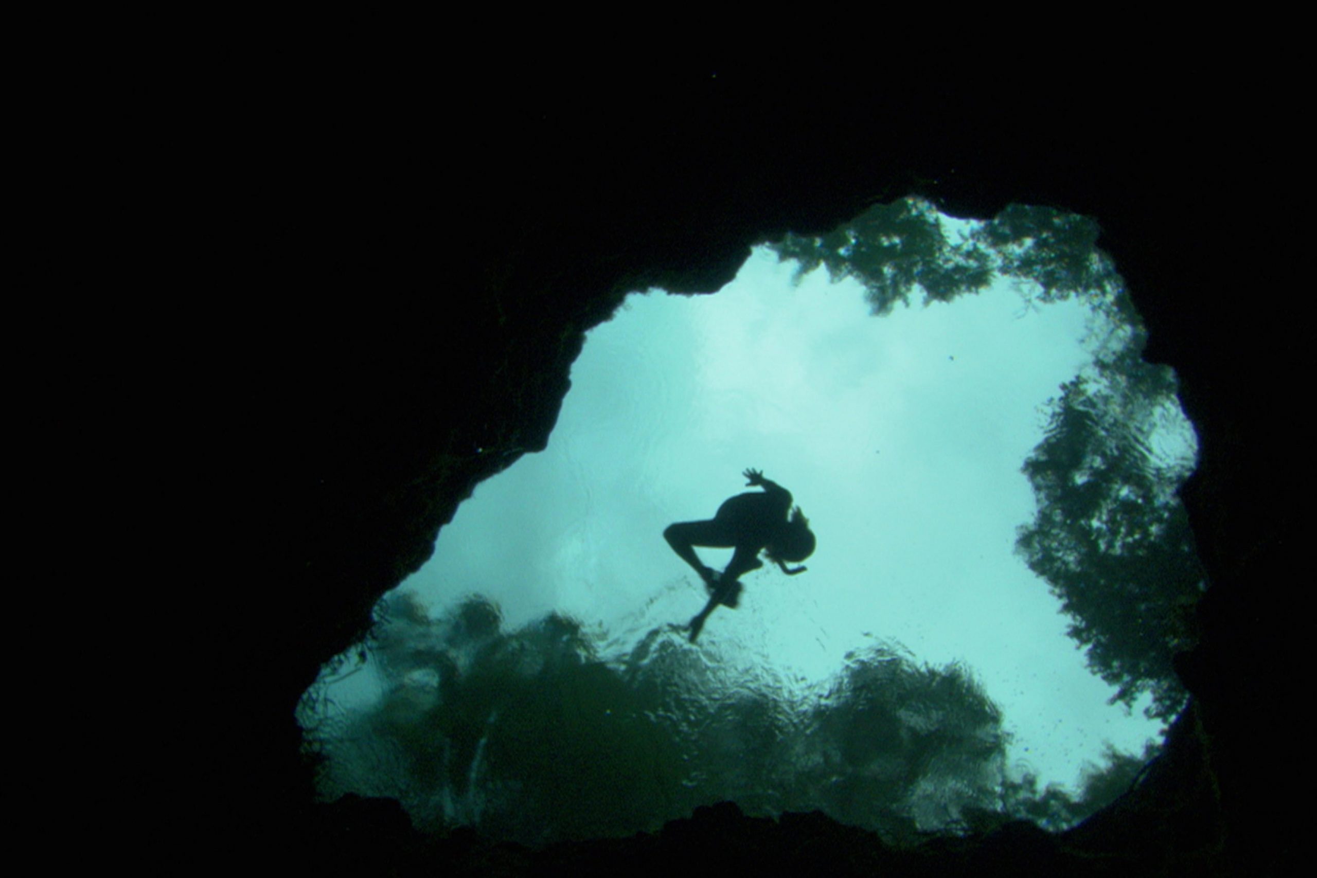 Silhouette of a person swimming in clear water