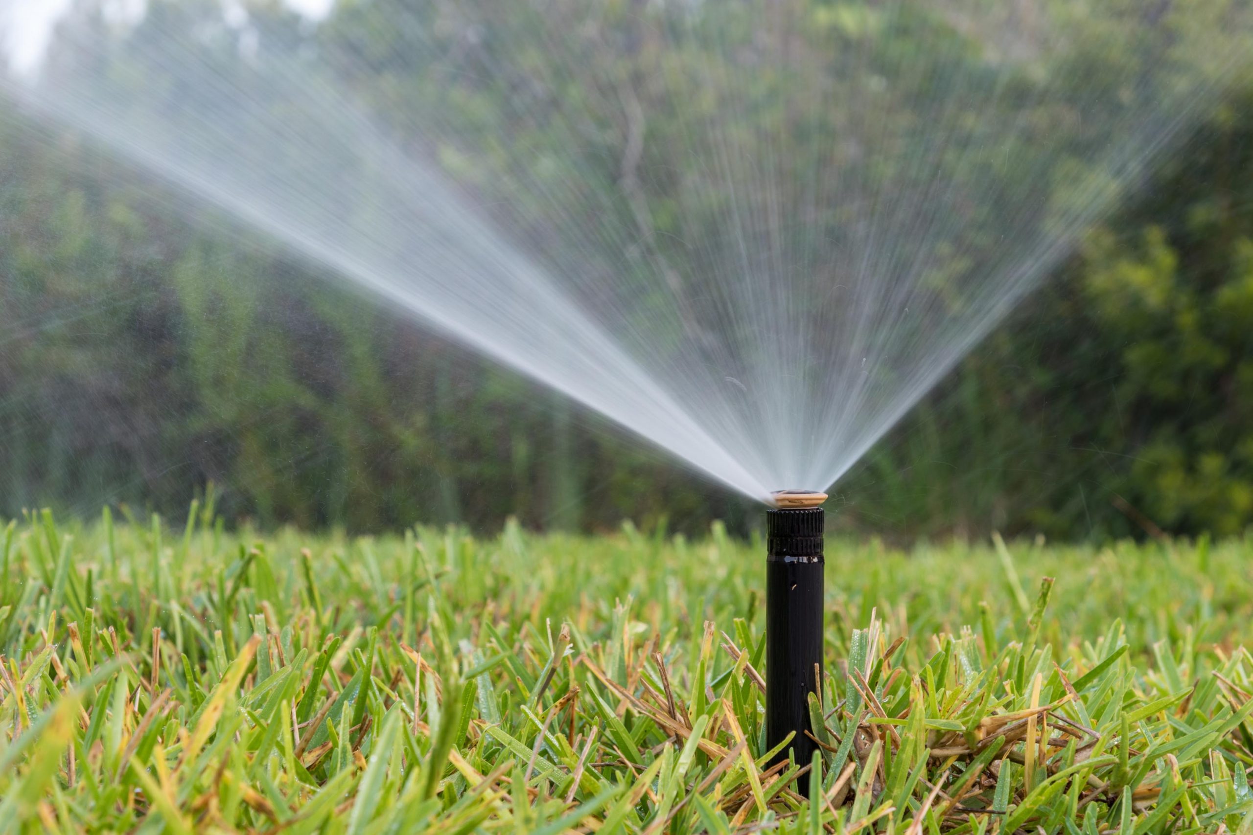 Lawn sprinkler spraying water