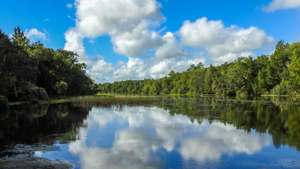 Protecting the Upper Floridan aquifer is one of the District’s highest priorities because it sustains both our springs and the water supply most of us rely upon. Like so many of you, we are committed to protecting Florida’s springs and water conservation is essential to preserving these iconic water bodies.