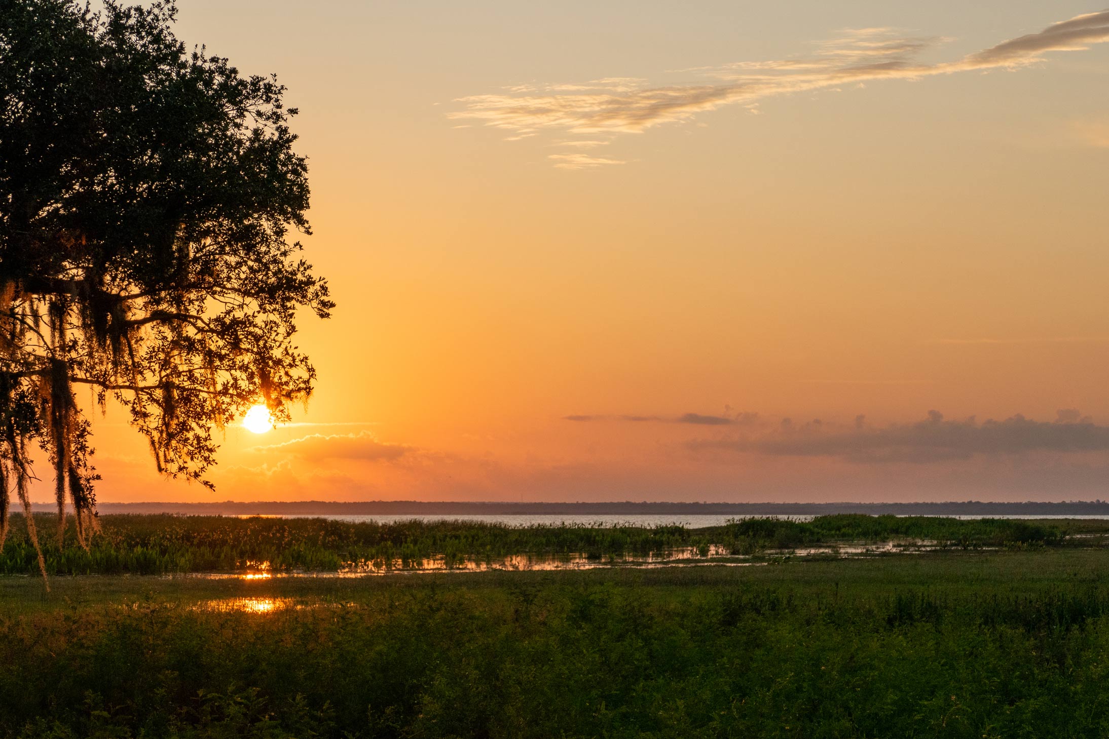 Sunset at Lake Jesup