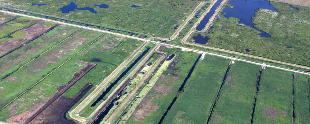 Aerial view of Lake Apopka Marsh Flow-Way