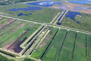 Aerial view of Lake Apopka Marsh Flow-Way
