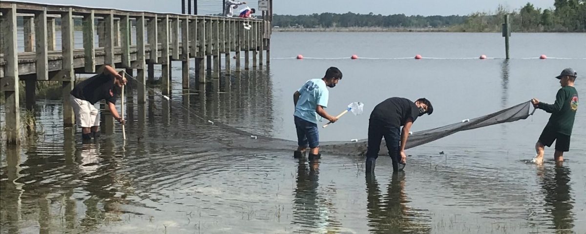 Students seining at a shore