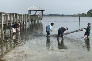 Students seining at a shore