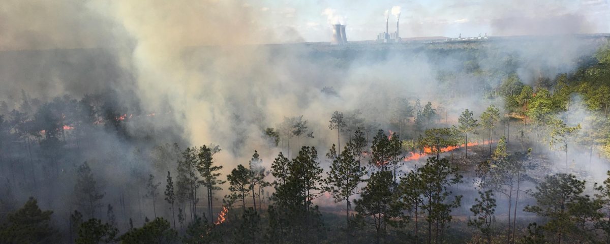 Photo of an aerial burn