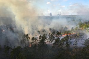 Photo of an aerial burn