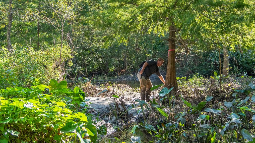 Stephen Jennewein conducts a survey of vegetation