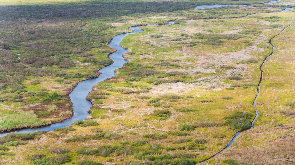 Aerial view of a stream flowing into Lake Winder