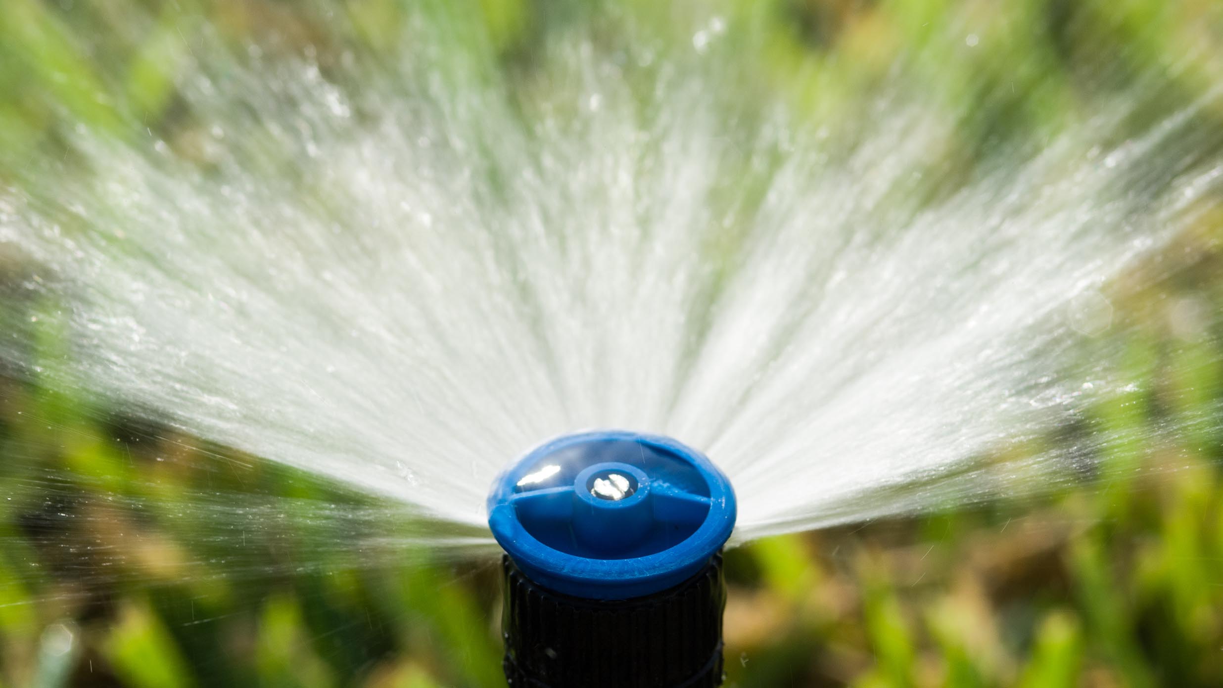 Single sprinkler spraying water