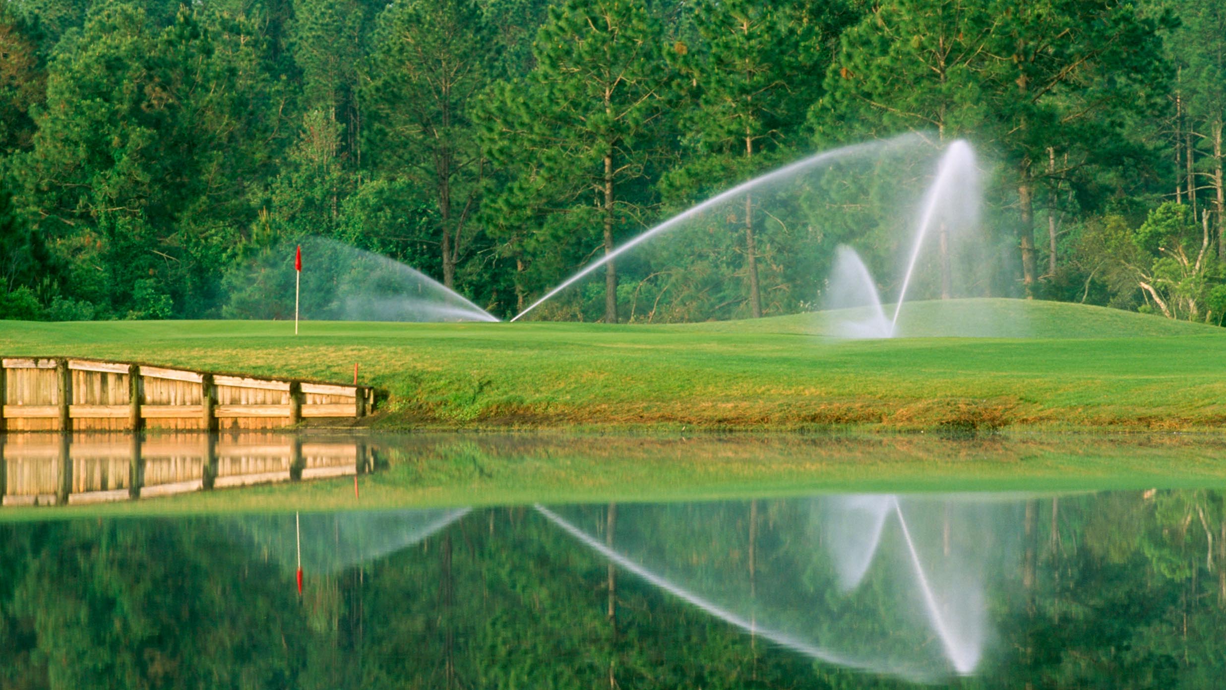Sprinklers spraying water on a golf coarse